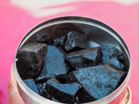 shilajit bienfaits