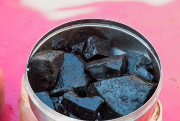 shilajit bienfaits