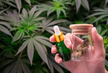 cbd