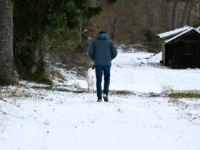 30 minutes de marche par jour : effets réalistes sur la santé