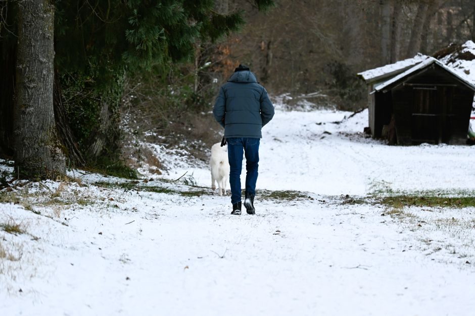 30 minutes de marche par jour : effets réalistes sur la santé