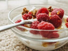 Probiotiques : au bout de combien de temps peut-on ressentir un effet ?